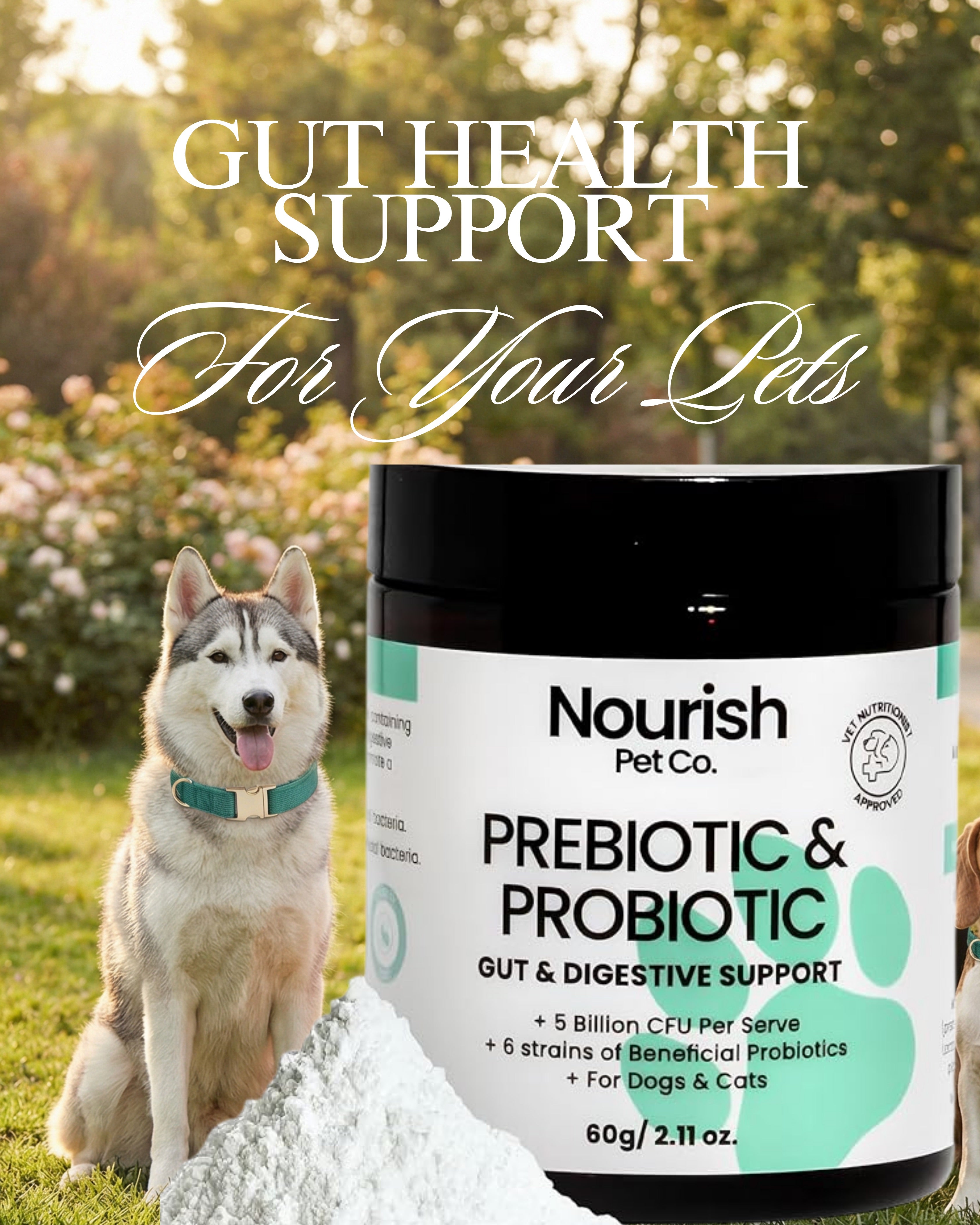 Gut Health Support for Pets - Prebiotics & Probiotics for Digestion & Immunity ~ Nourish Pet Co.
